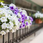 Asdem Park Hotel 4*